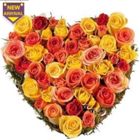 pomelo ,Orange and Yellow Roses Heart