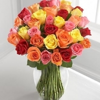 3 dozen Multi Color Roses