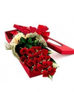 Power of Love (24 red roses wrapped)