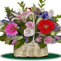 Spring basket-2